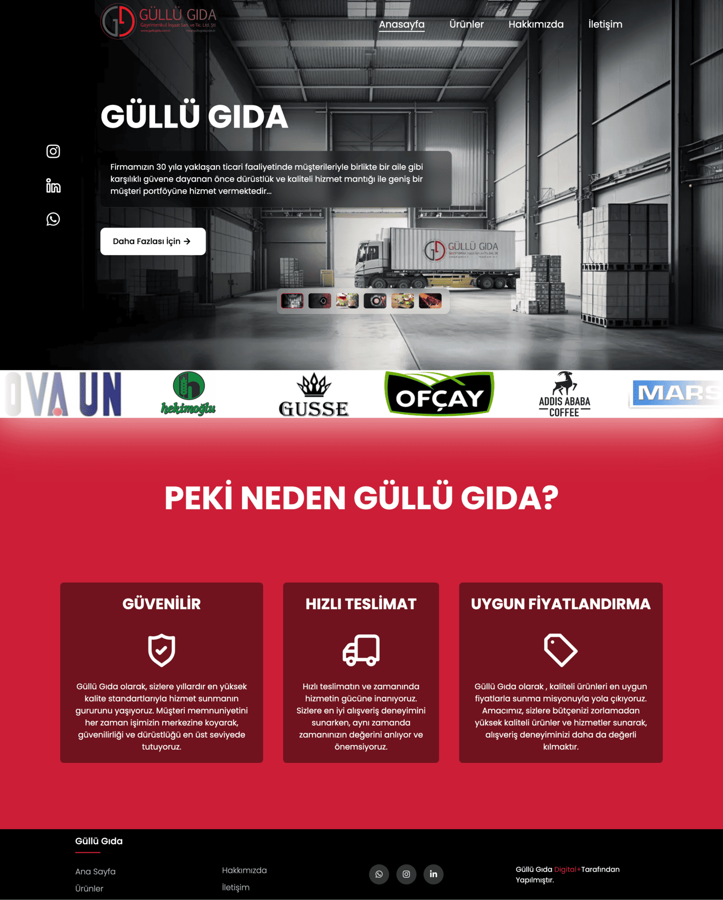 Güllü Gıda web sitesi ekran görüntüsü