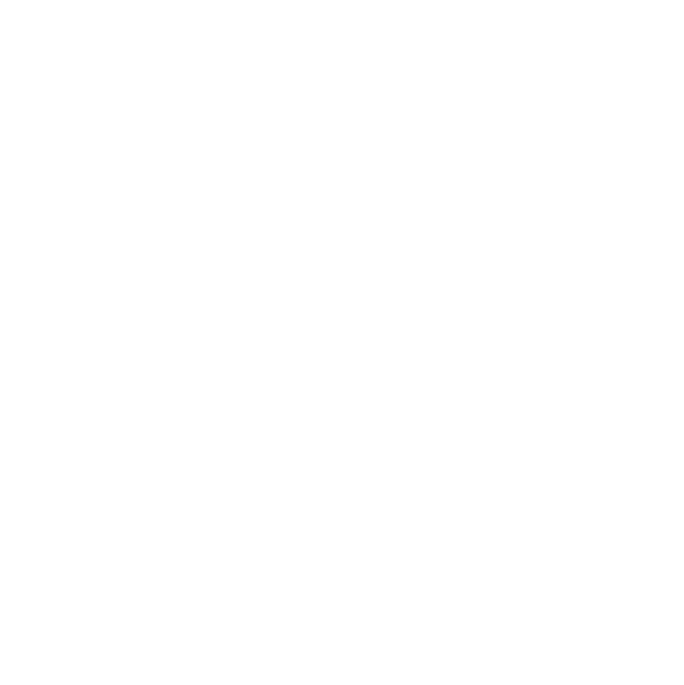 Papatya Temizlik logosu